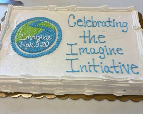 Imagine Initiative Cake